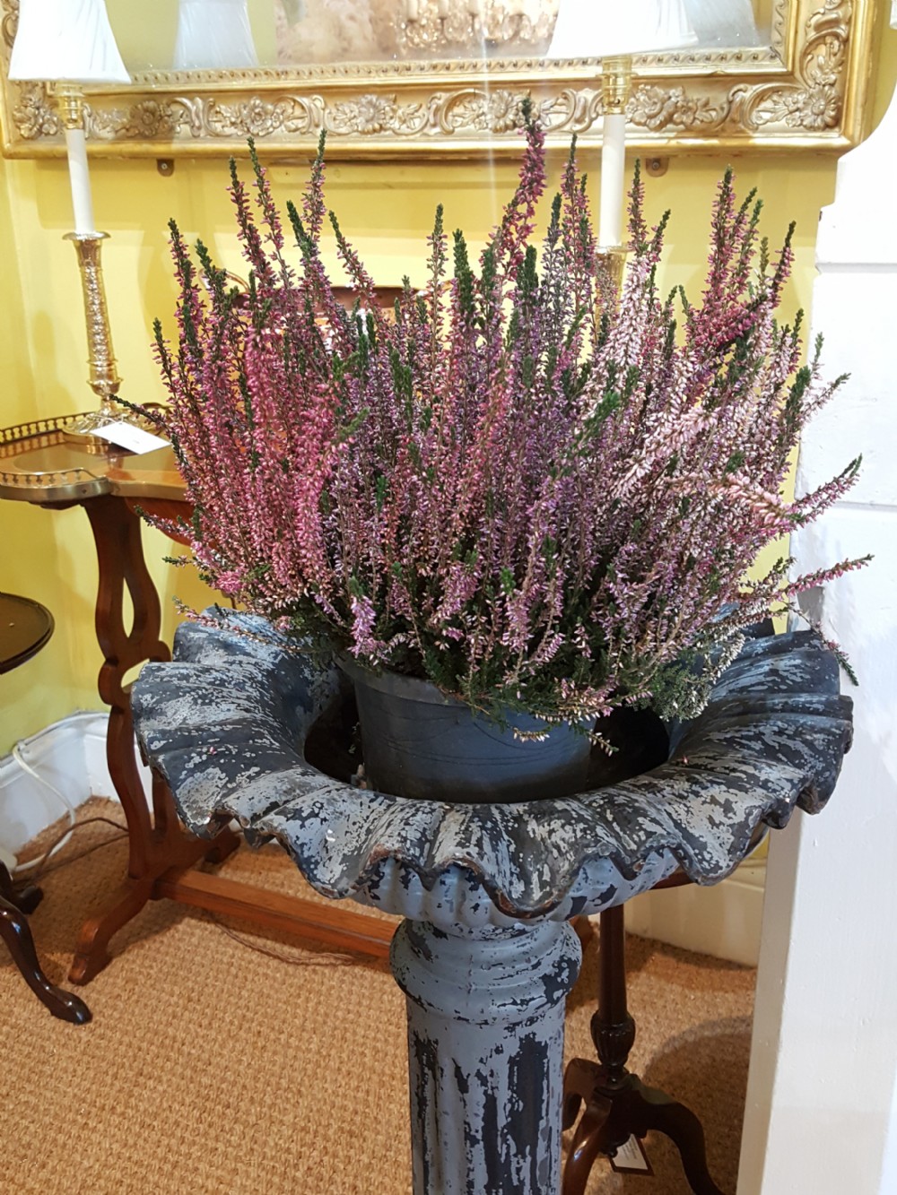 Pair of Victorian Cast Iron Planters View II
