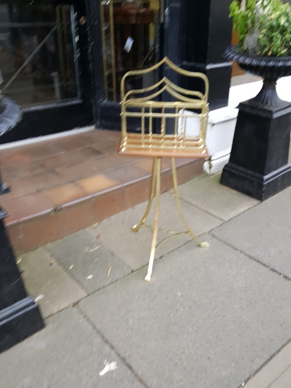 Brass and Oak Revolving Canterbury View V