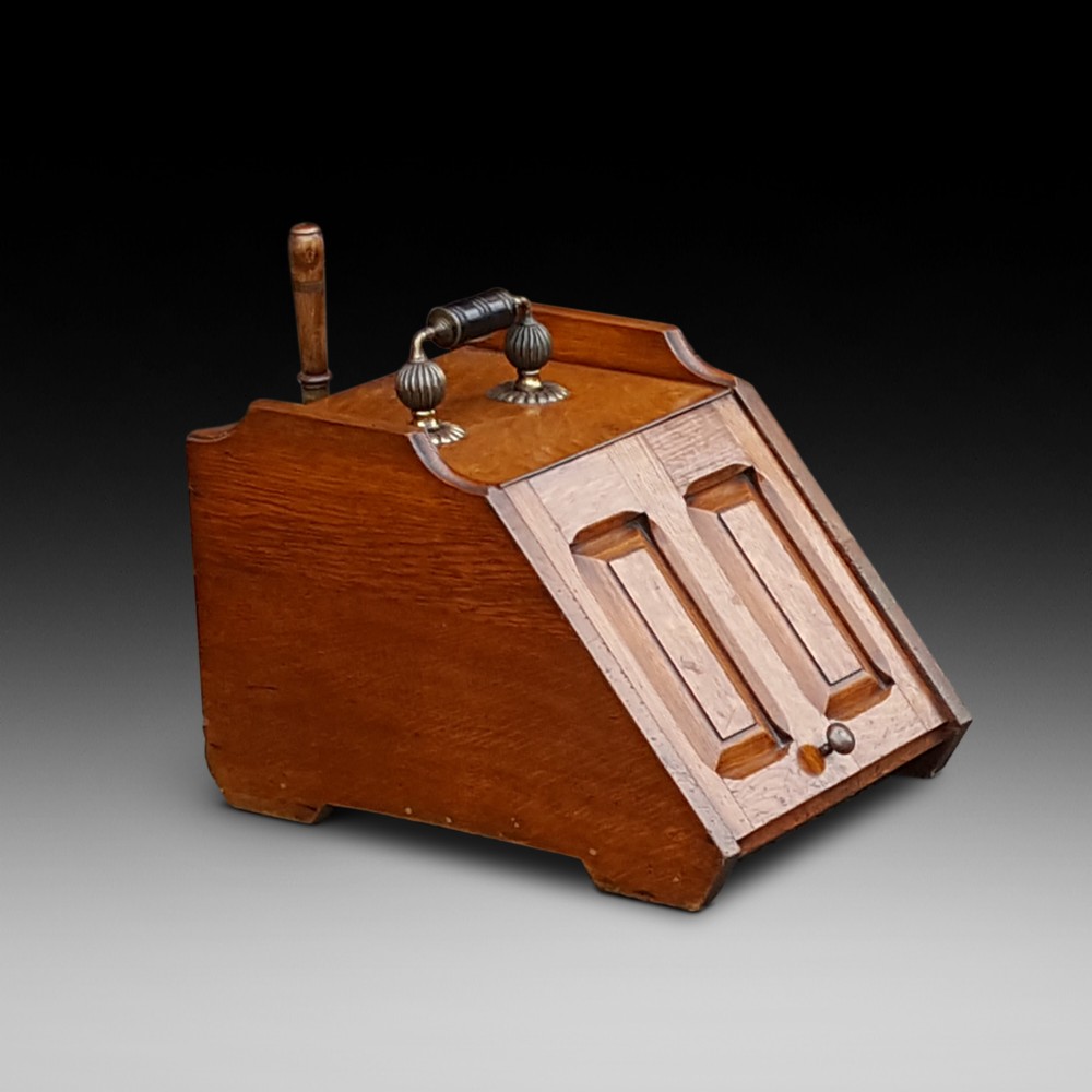 A late Victorian solid oak coal scuttle featuring a slanted panelled front, brass top carrying handle, and rear wooden shovel.