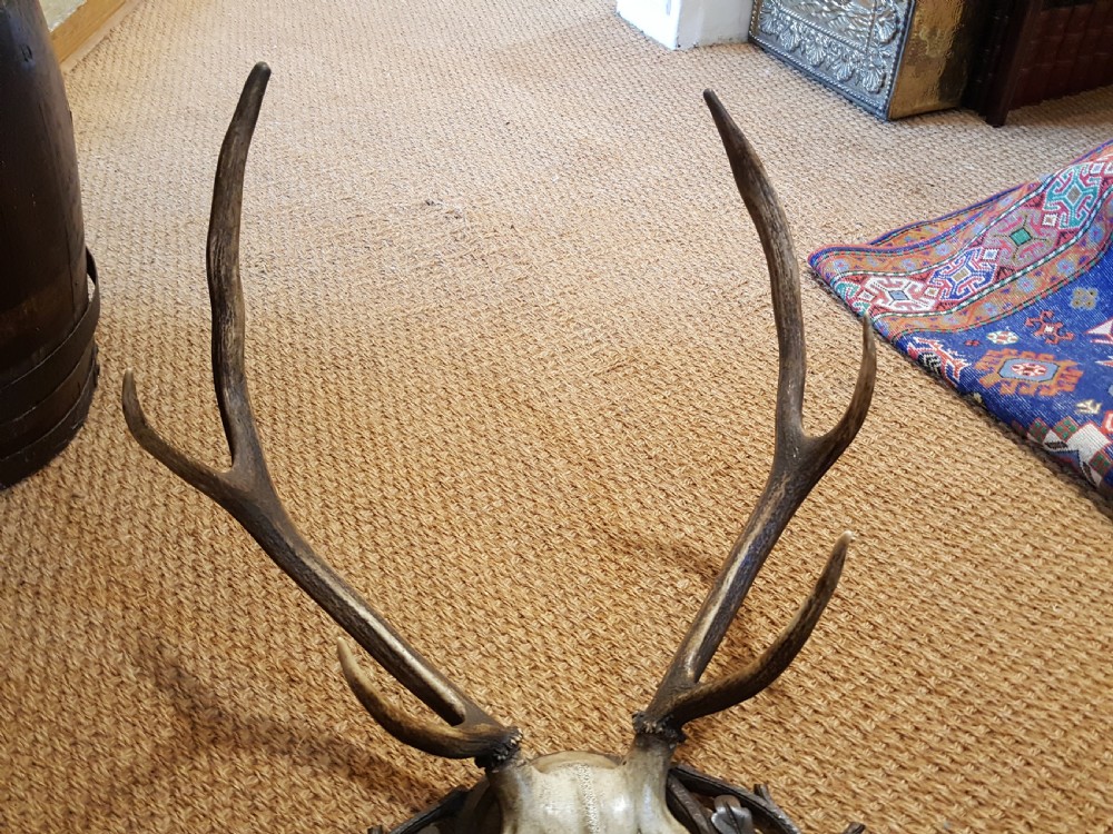  Late 19thC Black Forest Hat and Coat Rack View IV