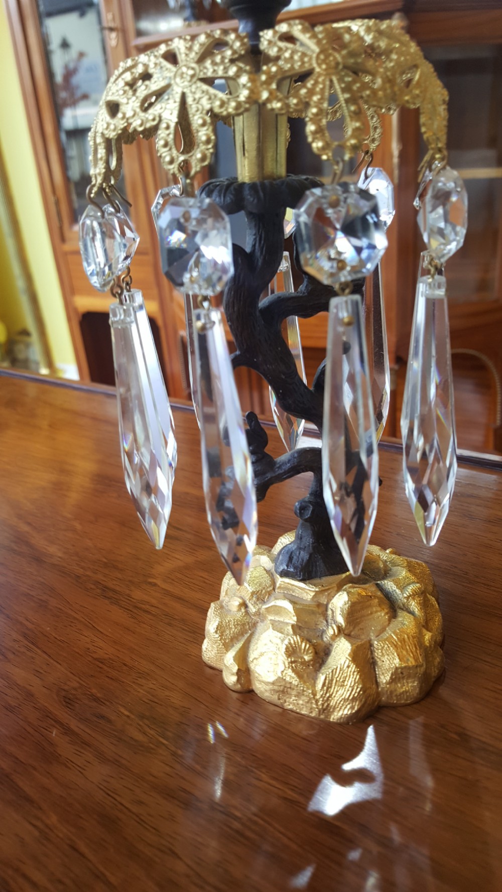 Pair of Regency Patinated Bronze and Gilt Bronze Lustres View IV