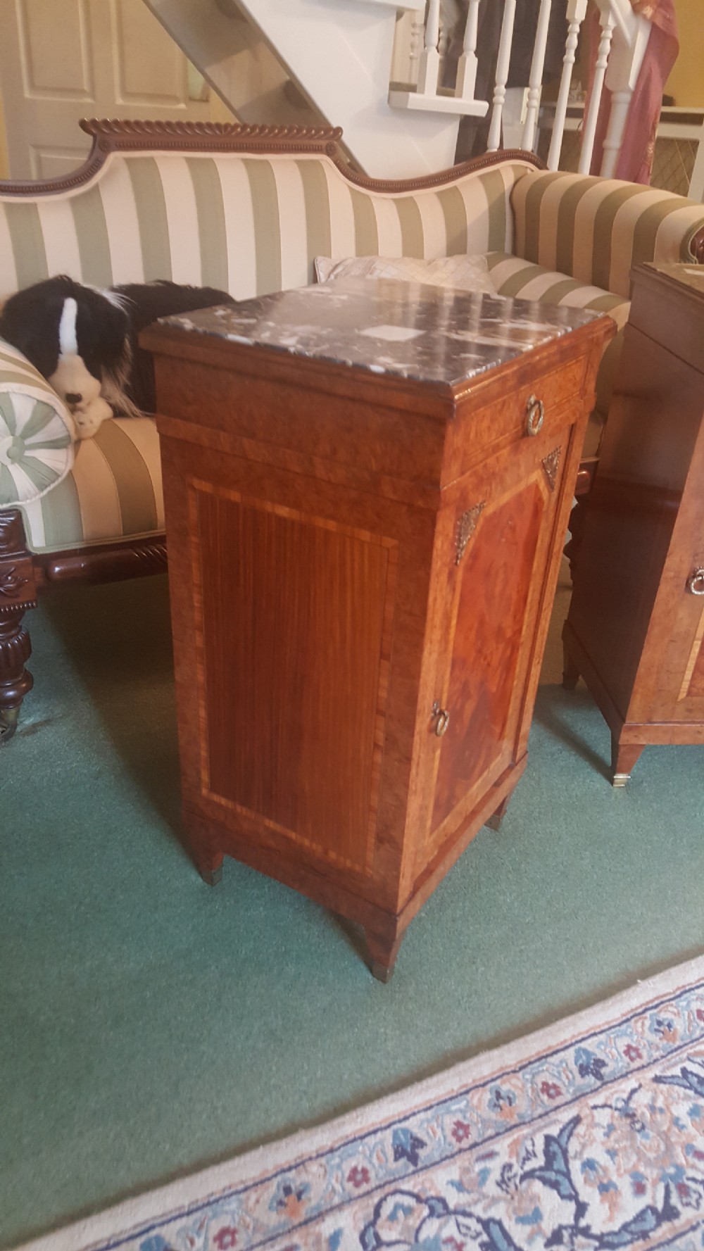 Pair of Late 19thC Burr Walnut Bedside Cabinets View IV
