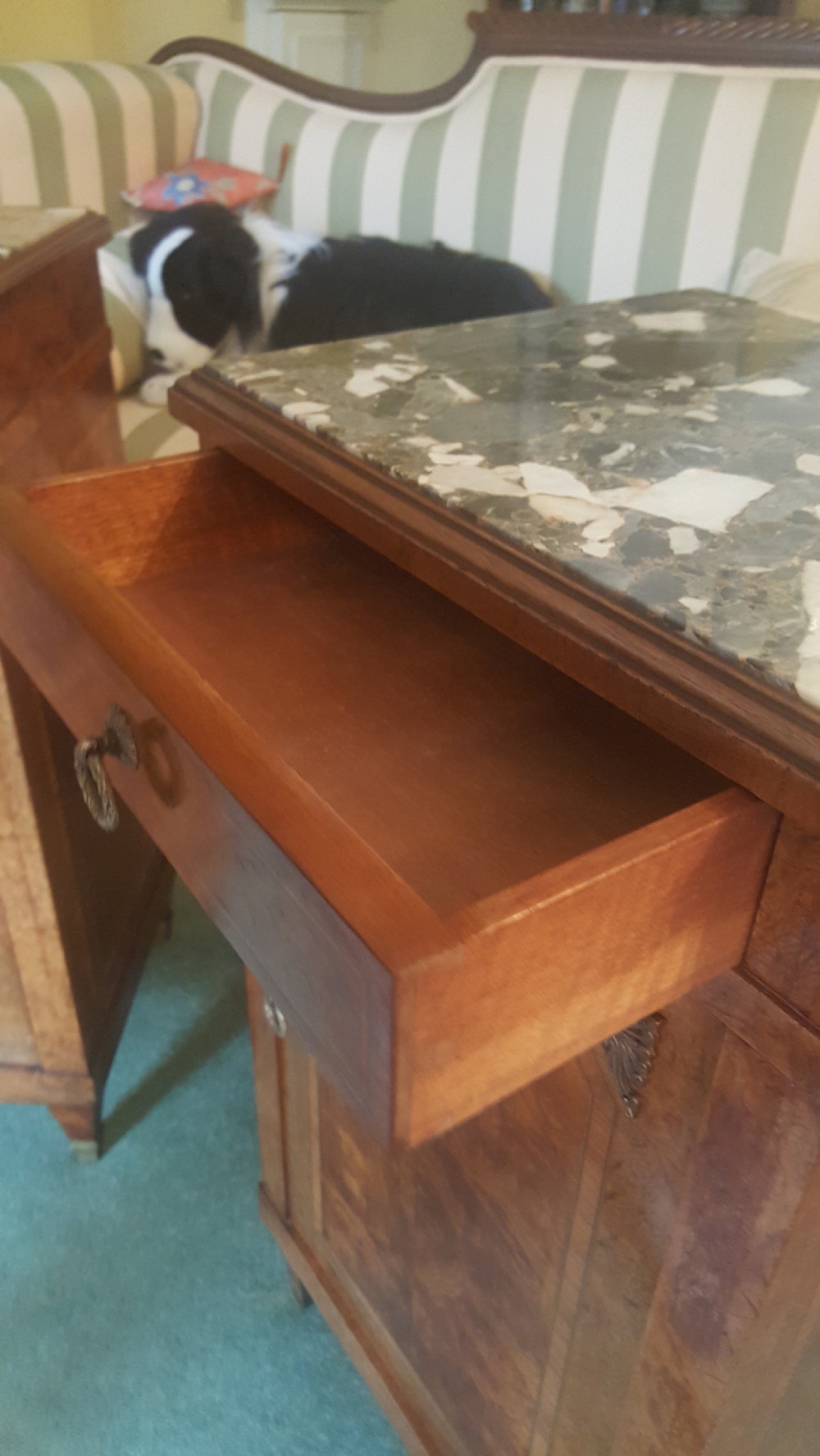 Pair of Late 19thC Burr Walnut Bedside Cabinets View VII