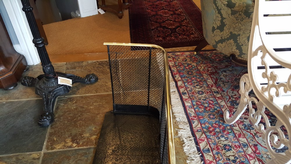 19thC metal and brass nursery fender  View III