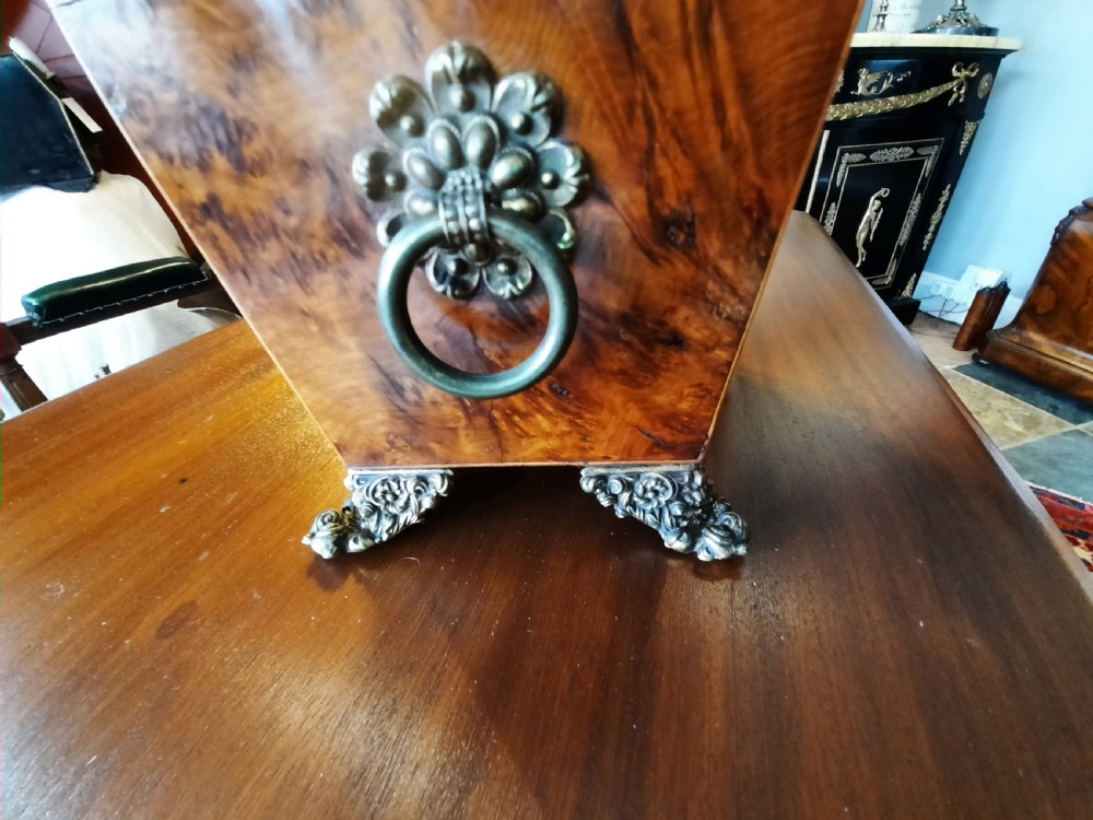 Regency Burr Elm Tea Caddy  View IV