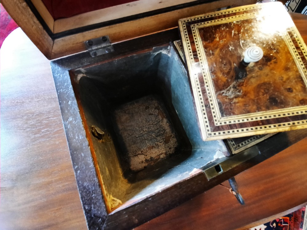 Regency Burr Elm Tea Caddy  View V