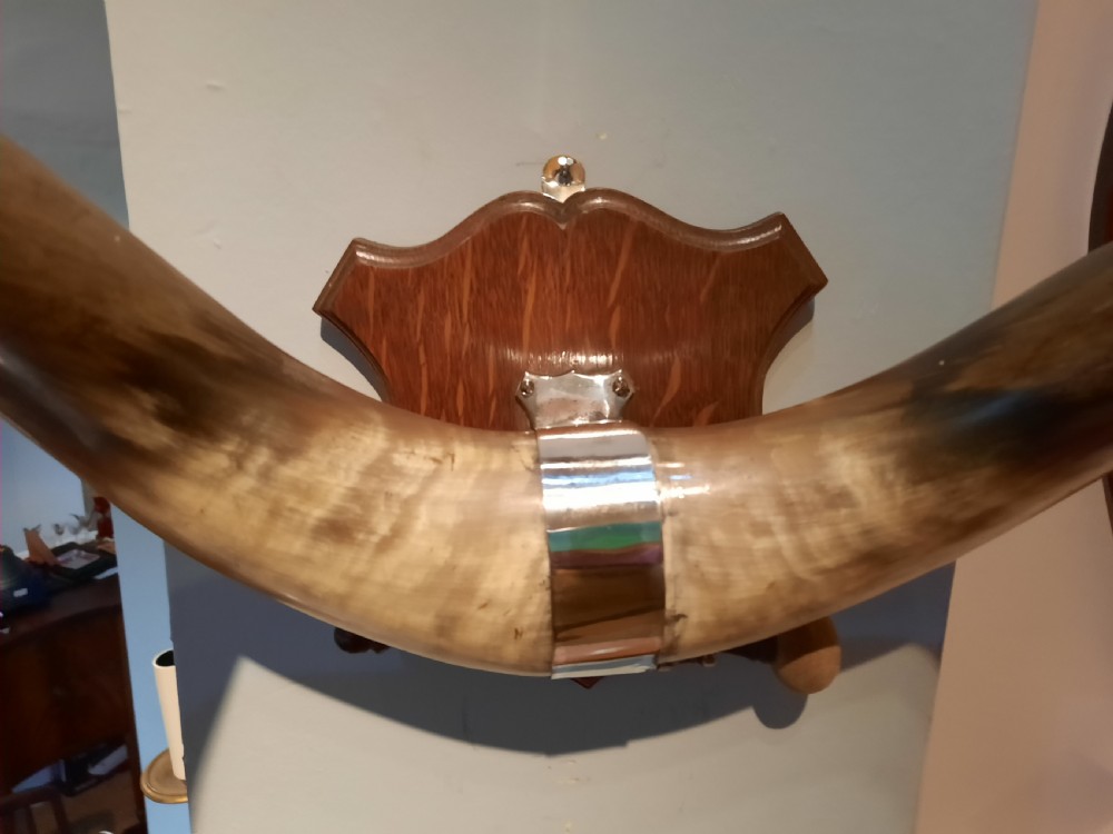 Late 19thC Brass Dinner Gong View III