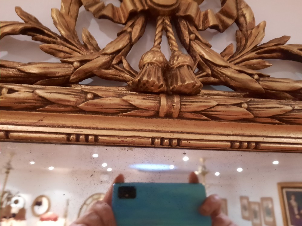 Early 20thC Giltwood Pier Mirror  View VI