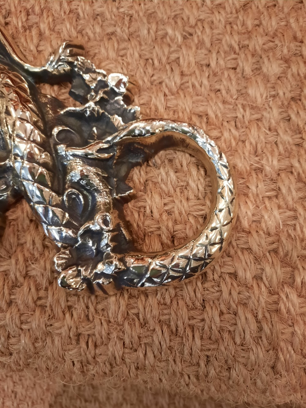 1920’s cast brass door porter depicting a lion and serpent View II