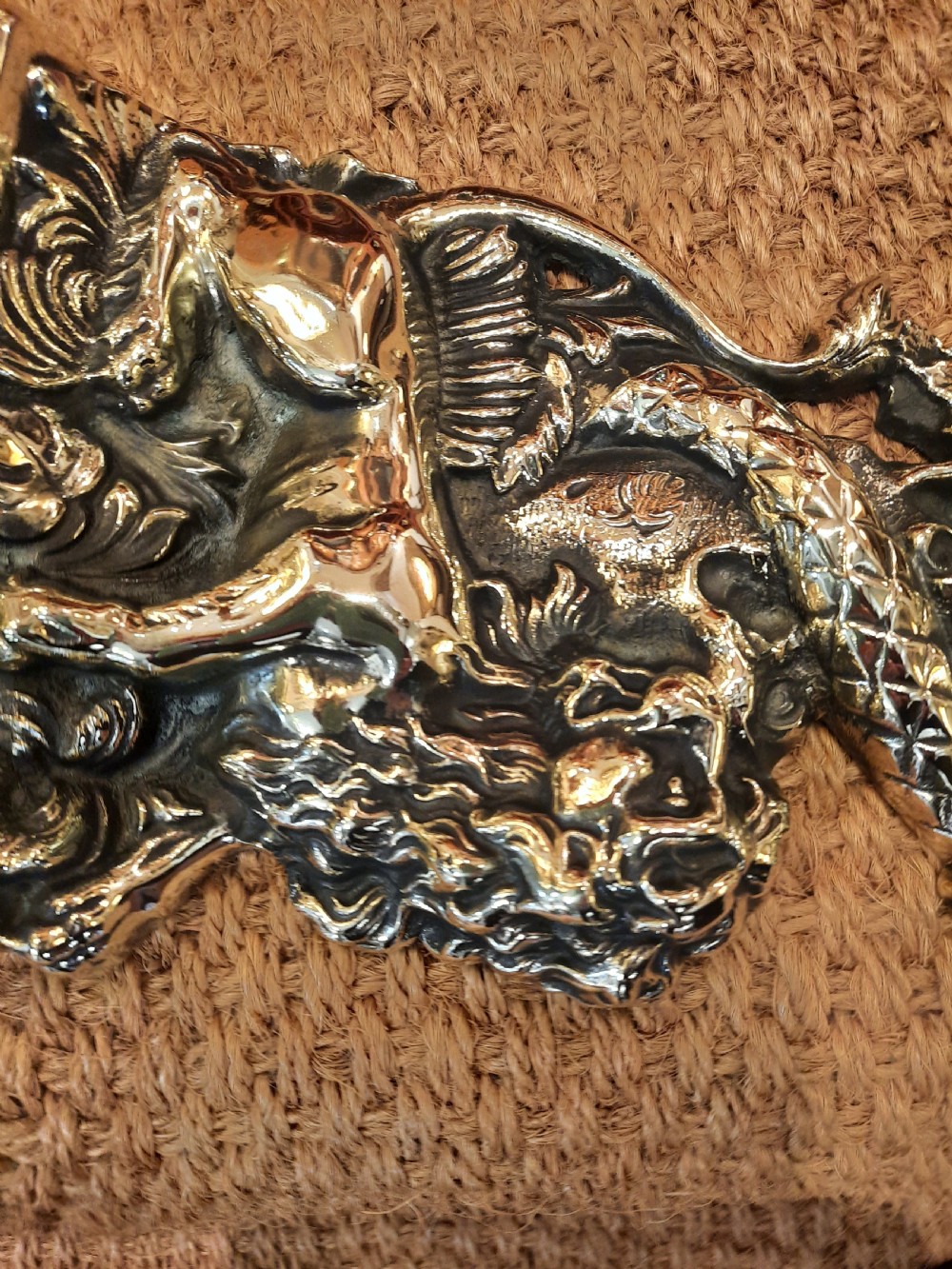1920’s cast brass door porter depicting a lion and serpent View III