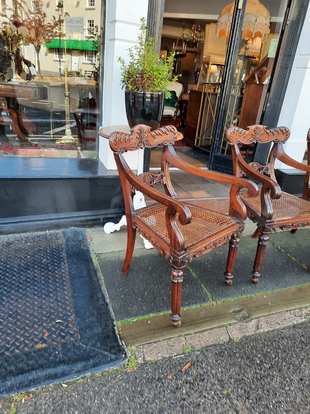 4 William IV Anglo Indian Rosewood Arm Chairs View II