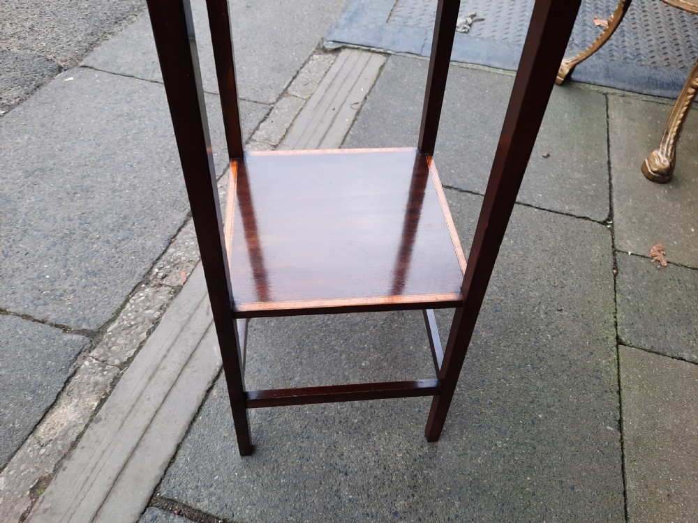 Edwardian Mahogany Torchere Bust Stand View III