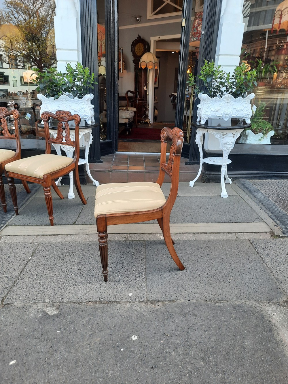 Set of six Regency Rosewood Dining Chairs View VI