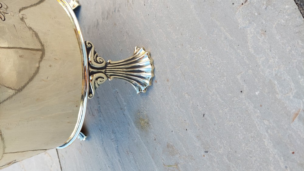 Edwardian Brass Coal Bucket  View III