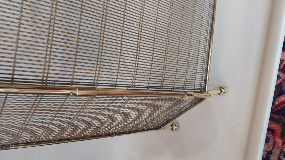 Edwardian Brass and Wire Fire Spark Guard View V