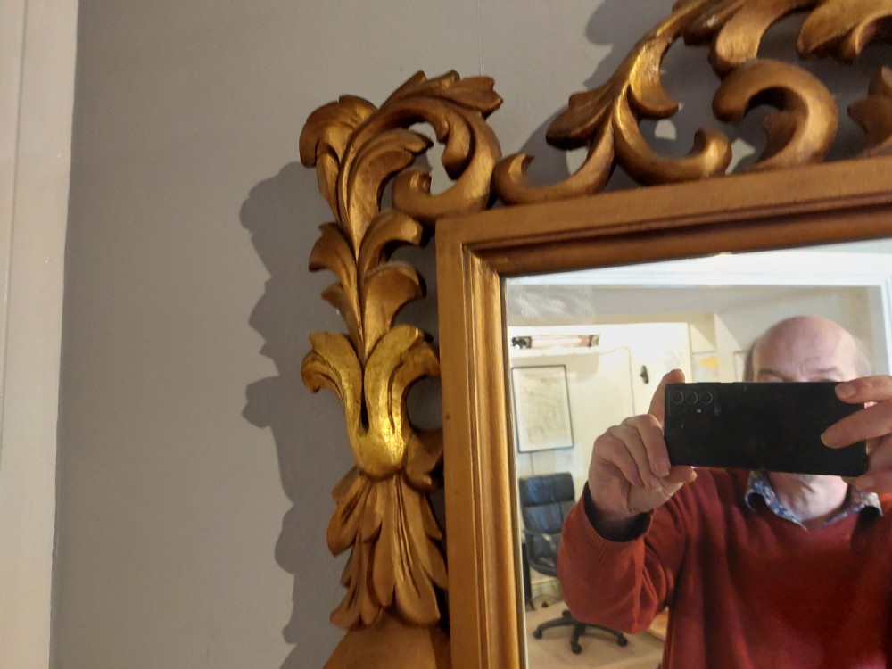 19thC Italian Giltwood Foliate Mirror View V