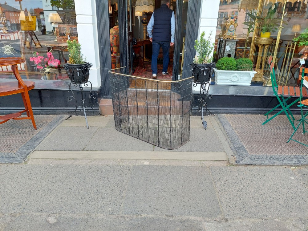 19thC Brass and Metal Wire Nursery Fireguard  View III