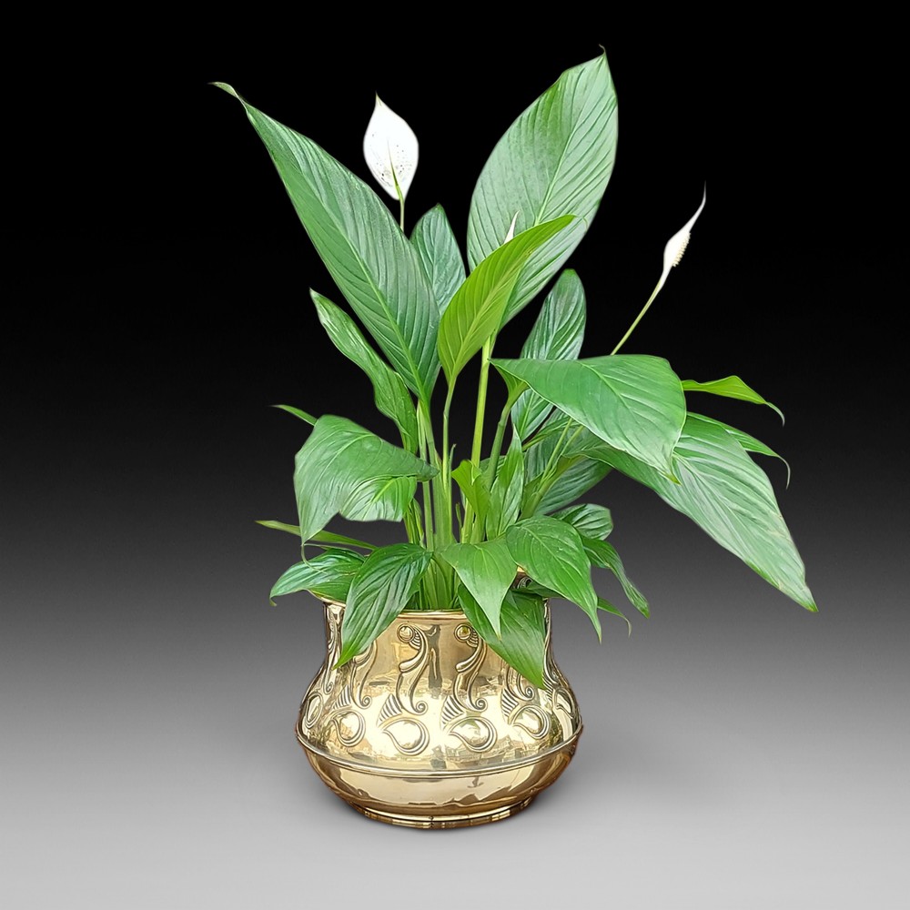 Art Nouveau Brass Planter Jardiniere