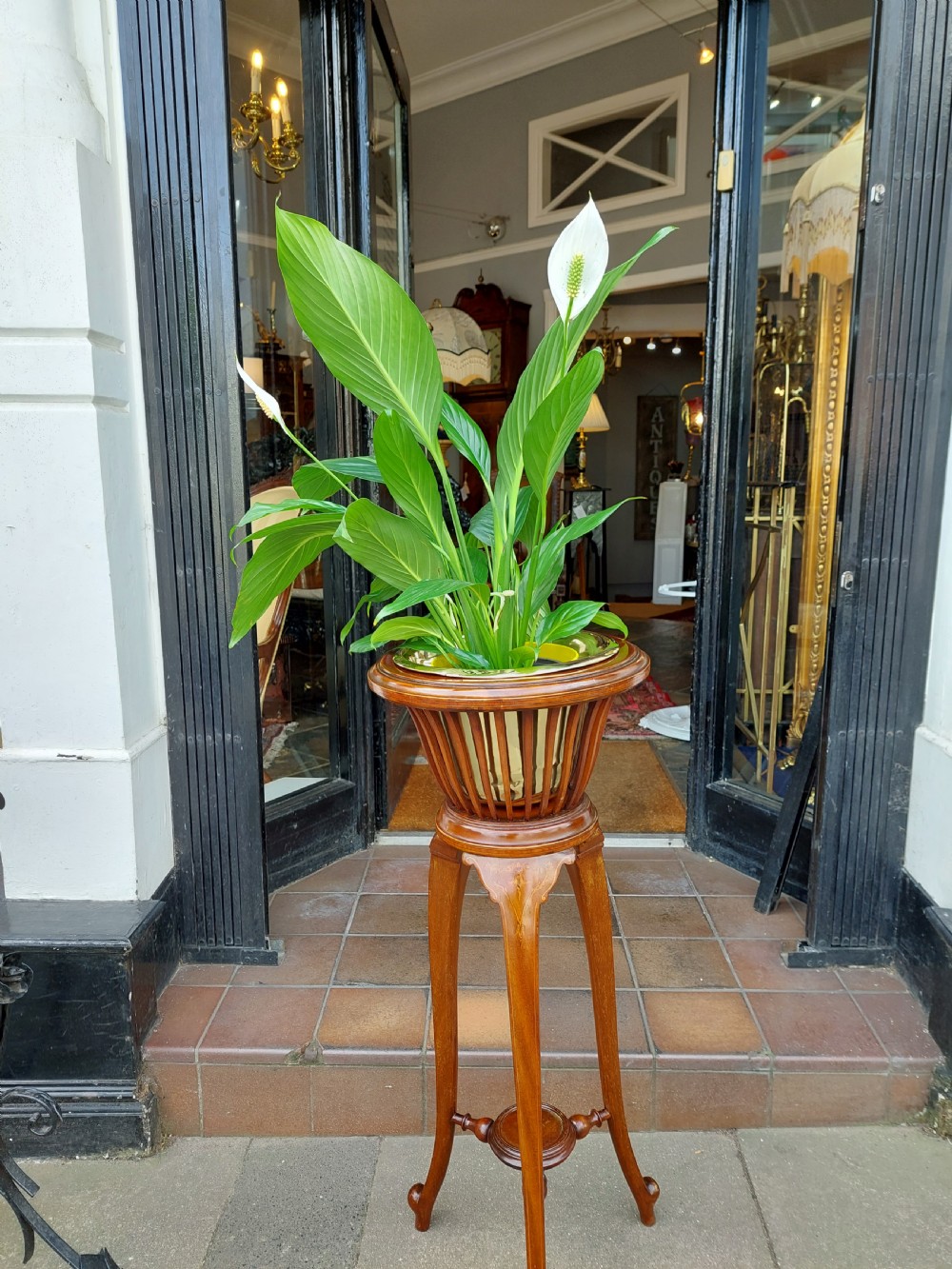 Edwardian Inlaid Mahogany and Brass Jardiniere Planter View VIII