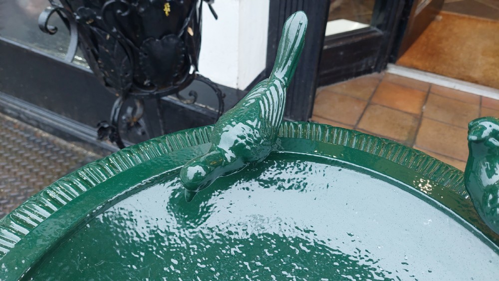 Early 20th Century Cast-Iron Bird Bath View III