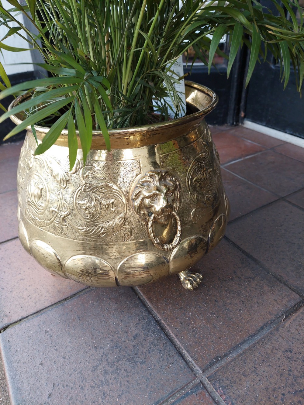 Victorian Brass Jardiniere  View III
