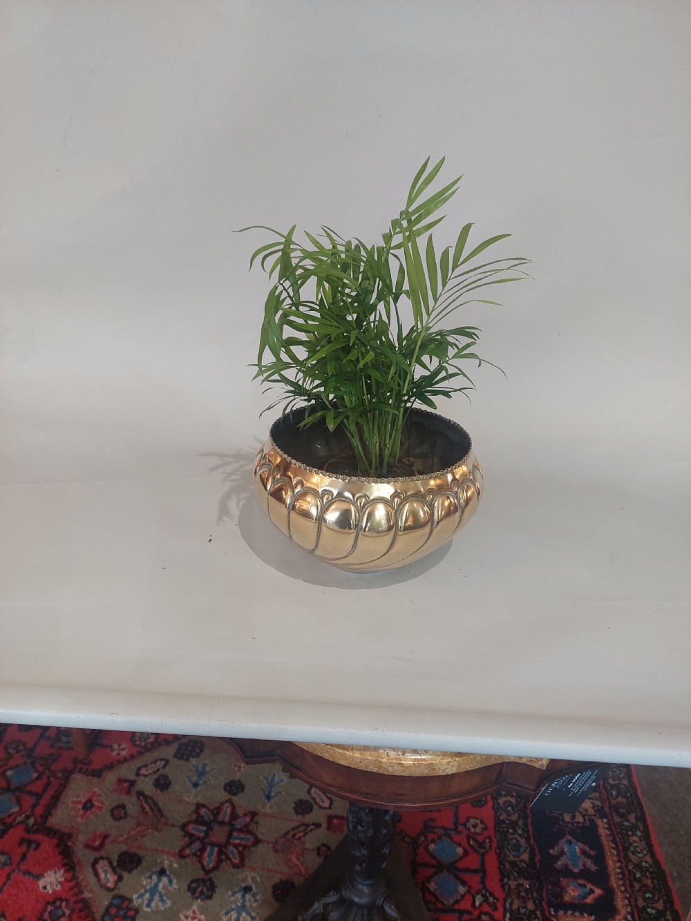 A polished brass Art Nouveau planter with swirling repousse lobed detailing and a beaded rim. View VI