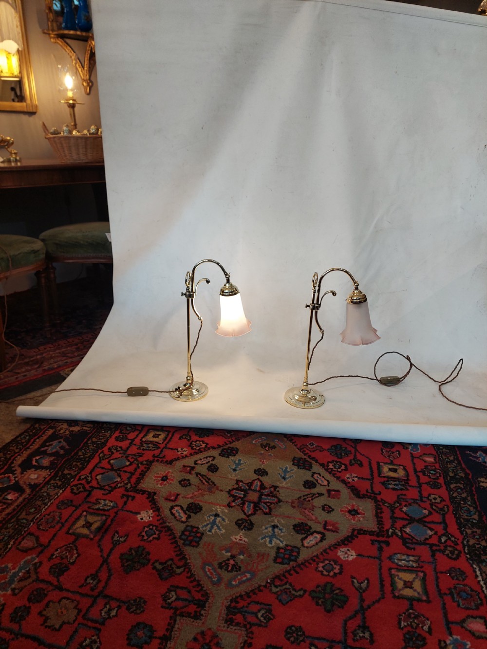 A pair of polished brass swan neck desk lamps with curved stems and frosted glass shades featuring pink fluted rims. View VI