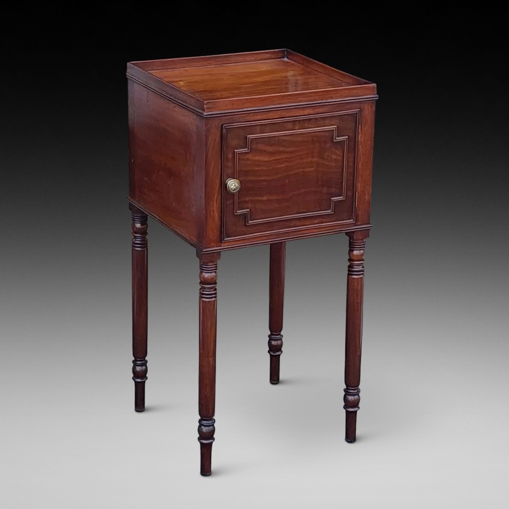 An early 19th-century Regency mahogany bedside cabinet featuring a single panelled door, tray top gallery, turned legs, and a brass knob.