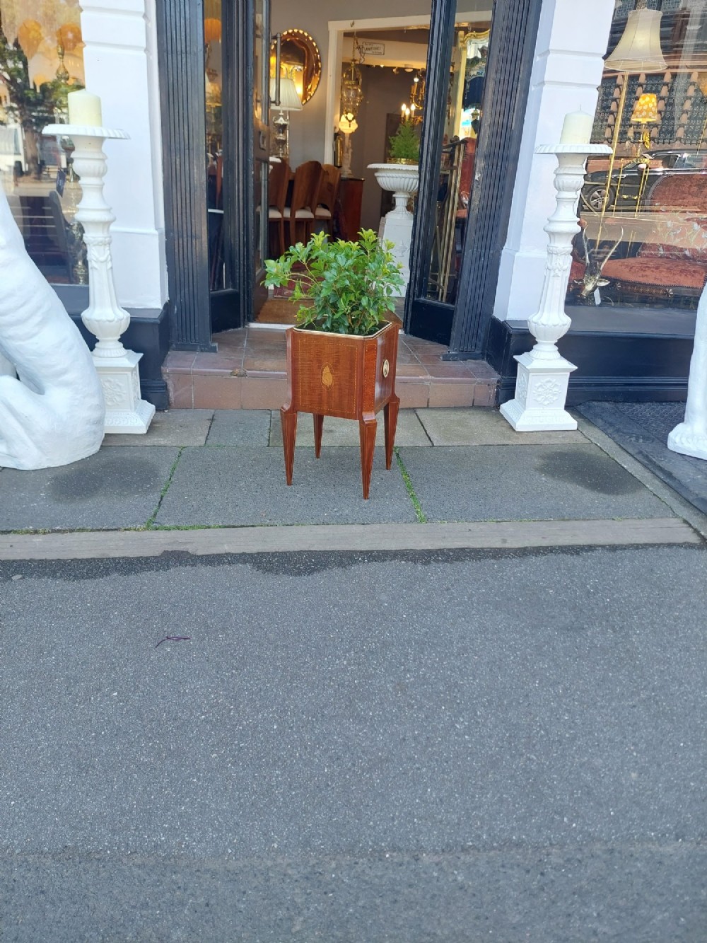 An Edwardian mahogany square jardiniere featuring satinwood line inlay, a marquetry shell motif, tapered square legs, and green foliage. View II