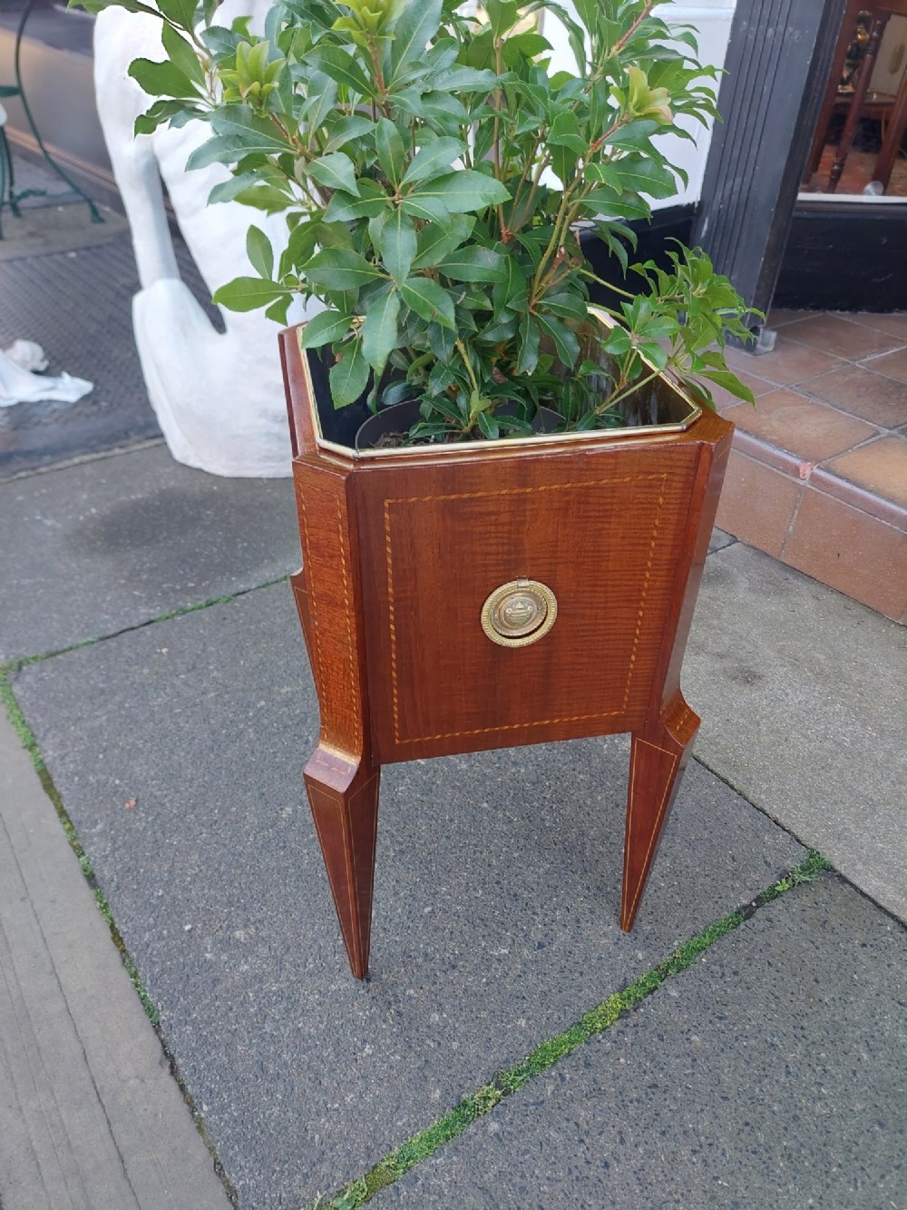 An Edwardian mahogany square jardiniere featuring satinwood line inlay, a marquetry shell motif, tapered square legs, and green foliage. View III