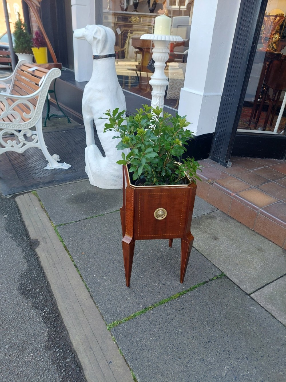 An Edwardian mahogany square jardiniere featuring satinwood line inlay, a marquetry shell motif, tapered square legs, and green foliage. View IV