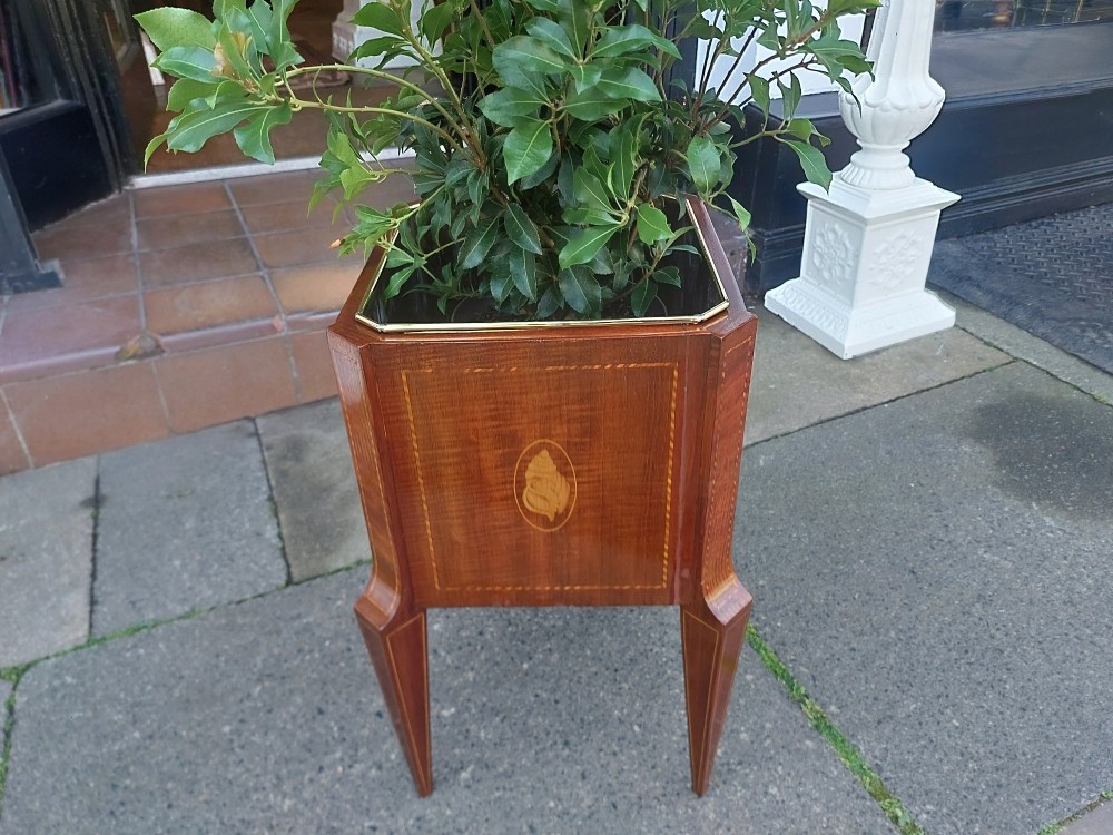 An Edwardian mahogany square jardiniere featuring satinwood line inlay, a marquetry shell motif, tapered square legs, and green foliage. View V