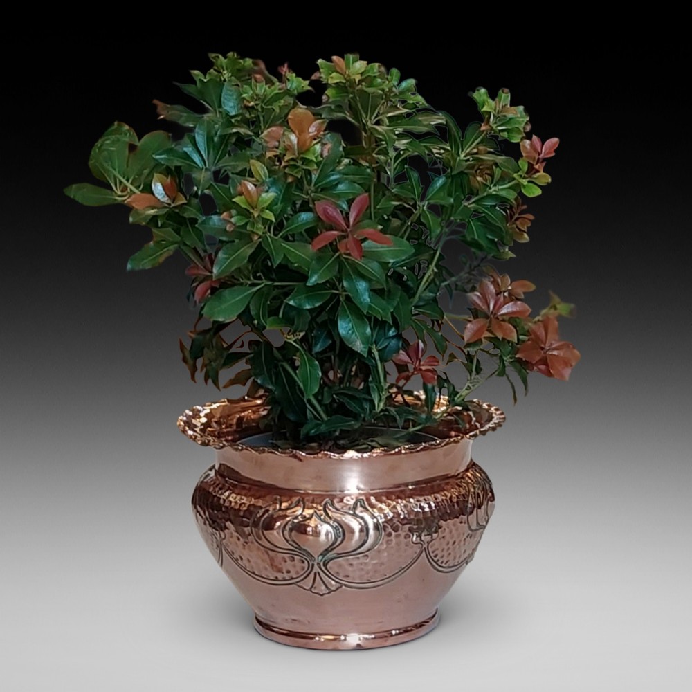 Edwardian Art Nouveau Copper Planter