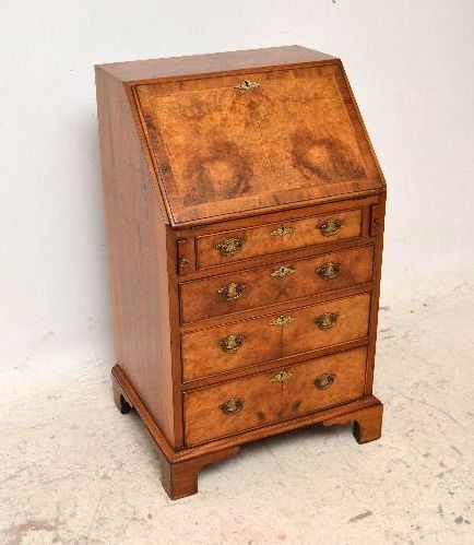 Slim Antique Burr Walnut Writing Bureau Desk