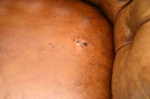 fig 1. Pair of Antique Swedish Leather Chesterfield Armchairs