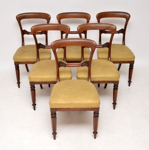 Set of 6 Antique William IV Mahogany Dining Chairs