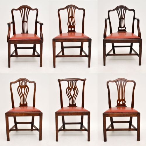 Harlequin Set of 6 Antique Georgian Mahogany Dining Chairs