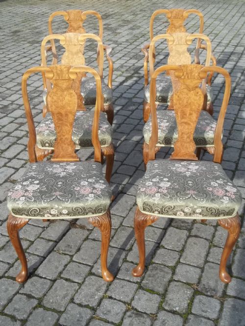 Antique £1250 Set of Six Queen Anne Burr Walnut Upholstered Dining Chairs