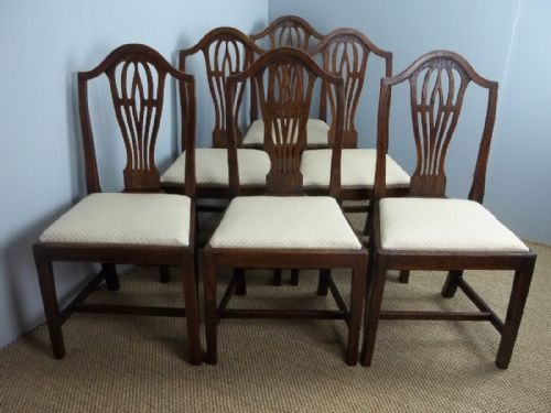 Antique  Set of Six 6 19th Century Welsh Oak Farmhouse Kitchen Camel Back Georgian Design Upholstered Dining Chairs. C.1870.