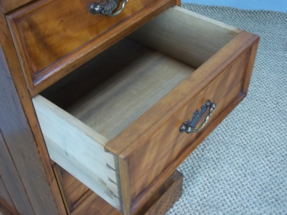A pair of antique 19th century small satin birch wood satinwood bedside cabinet chest of drawers View IV