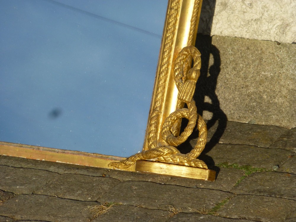 Alternate View