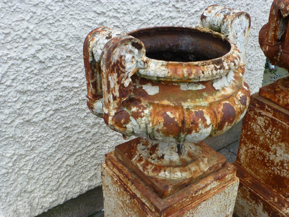 A pair of Regency period cast iron campana urns with scrolled handles, displaying distressed off-white paint and surface rust, mounted on square cast iron pedestals. View III