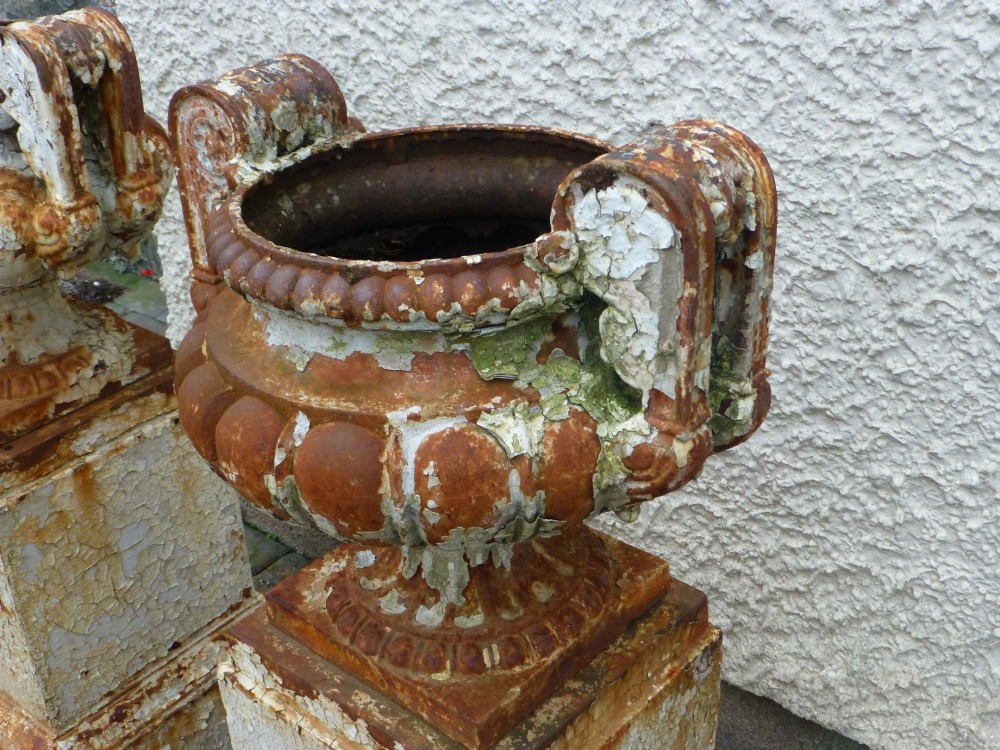 A pair of Regency period cast iron campana urns with scrolled handles, displaying distressed off-white paint and surface rust, mounted on square cast iron pedestals. View V