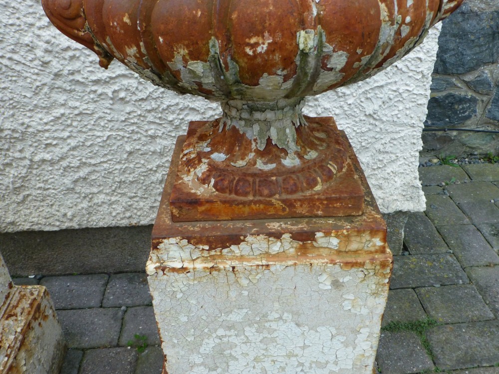A pair of Regency period cast iron campana urns with scrolled handles, displaying distressed off-white paint and surface rust, mounted on square cast iron pedestals. View X