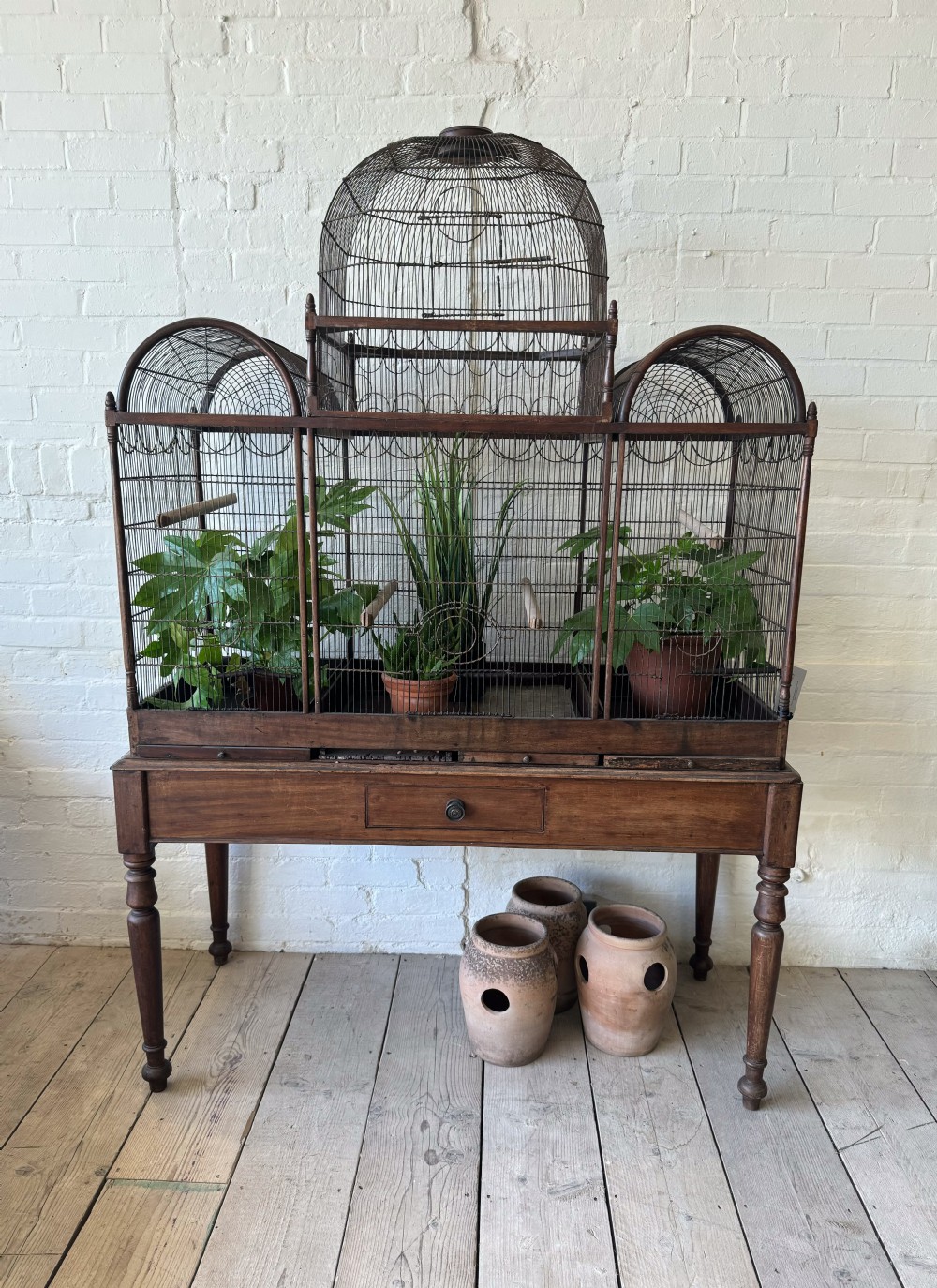 Late 19th Century Birdcage View II