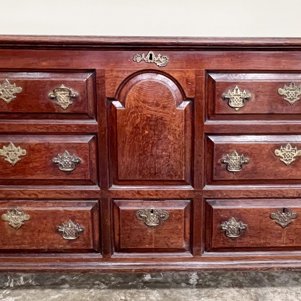 An 18th-century dark oak mule chest featuring false drawer fronts, an arched central panel, brass drop handles, and lower drawers. View V