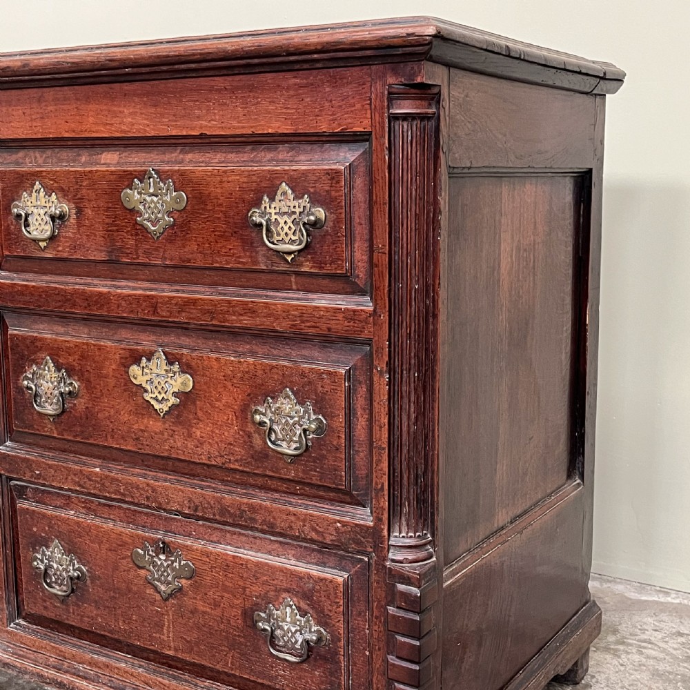 An 18th-century dark oak mule chest featuring false drawer fronts, an arched central panel, brass drop handles, and lower drawers. View VI