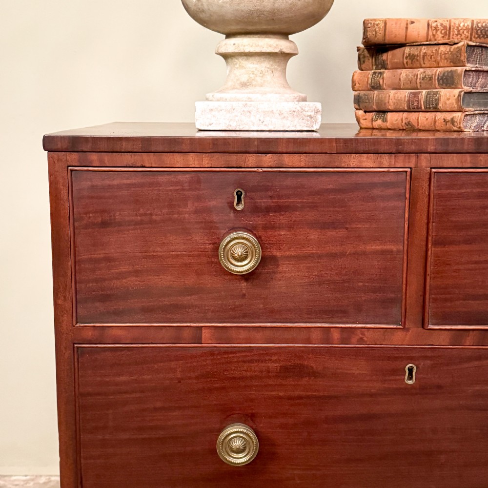 Small 19th Century Mahogany Chest View II