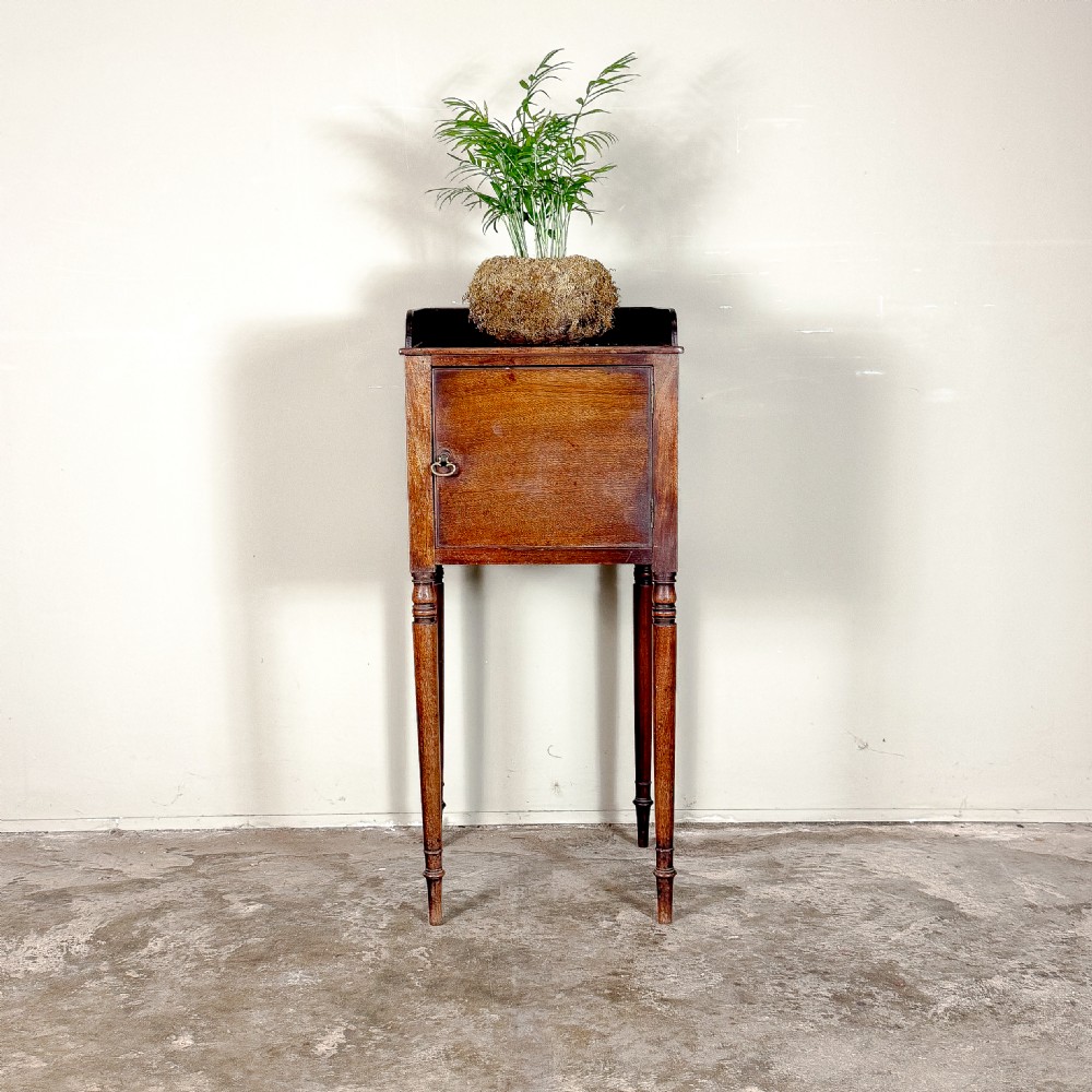 An antique mahogany pot cupboard featuring a single panelled door, brass ring handle, gallery back, and slender turned legs.