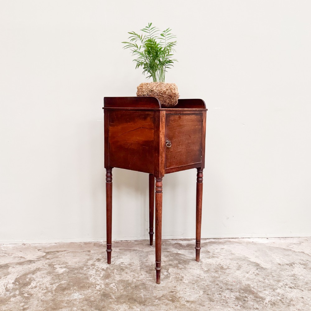 An antique mahogany pot cupboard featuring a single panelled door, brass ring handle, gallery back, and slender turned legs. View II